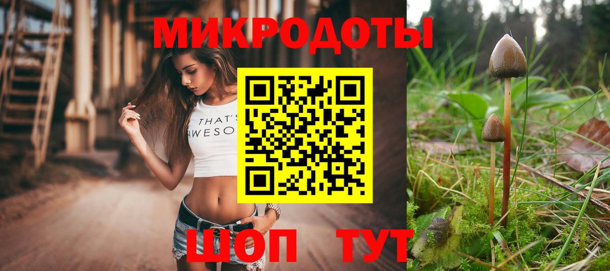 Псилоцибиновые грибы Cubensis  Вход с VPN  Галлюциногенные грибы прущие грибы  Малоярославец 