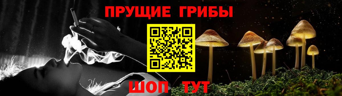 Галлюциногенные грибы Psilocybe Малоярославец